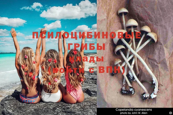 mix Алексин